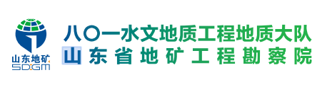 山东省水工环地质工程有限公司