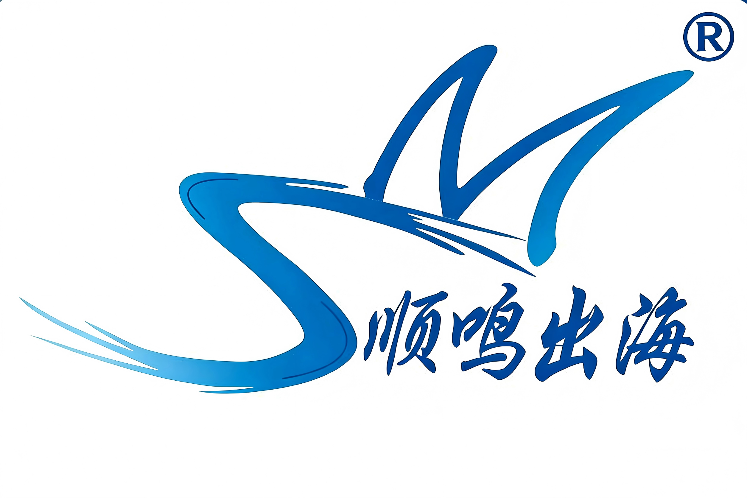 上海盛水元管理咨询有限公司